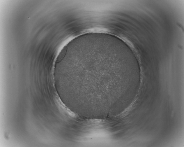 X0000101231248200807071404