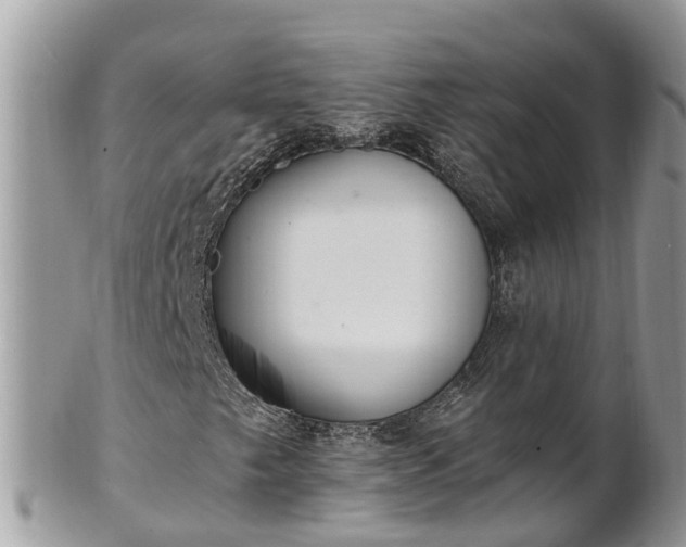 X0000101231249200807071403