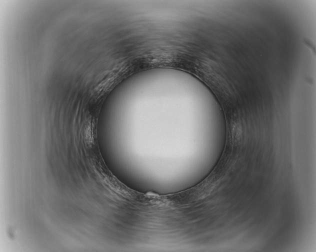 X0000101231250200807071403