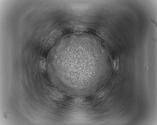 X0000101231251200807071403