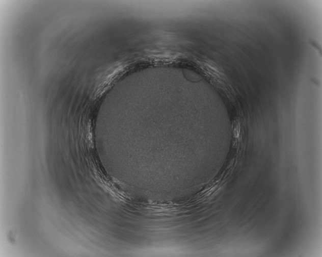 X0000101231252200807071403