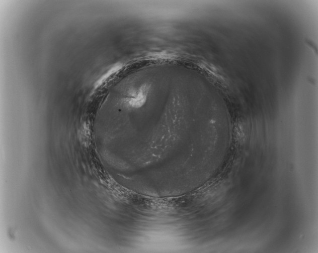 X0000101231254200807071403