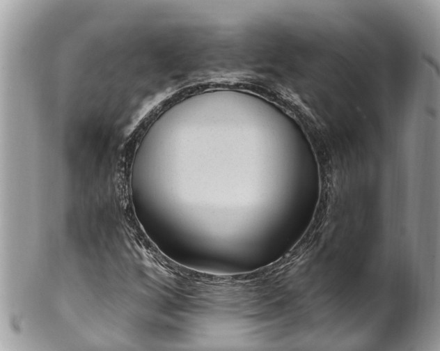 X0000101231256200807071403