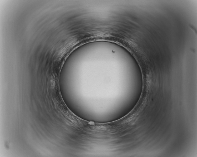 X0000101231257200807071403