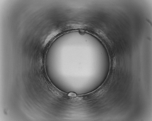 X0000101231261200807071403