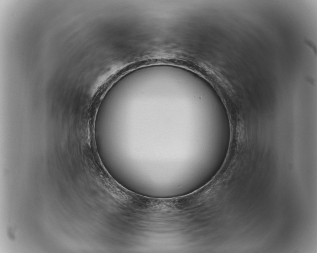 X0000101231262200807071403