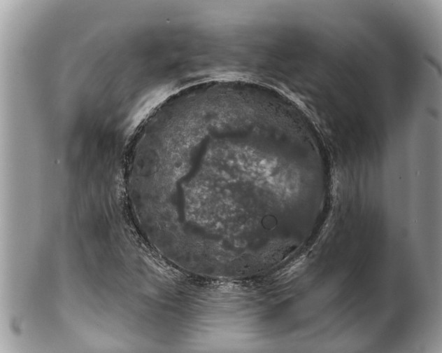 X0000101231263200807071403