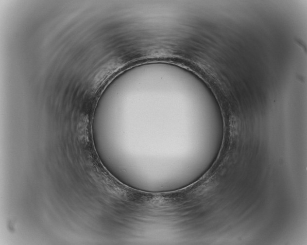 X0000101231265200807071403