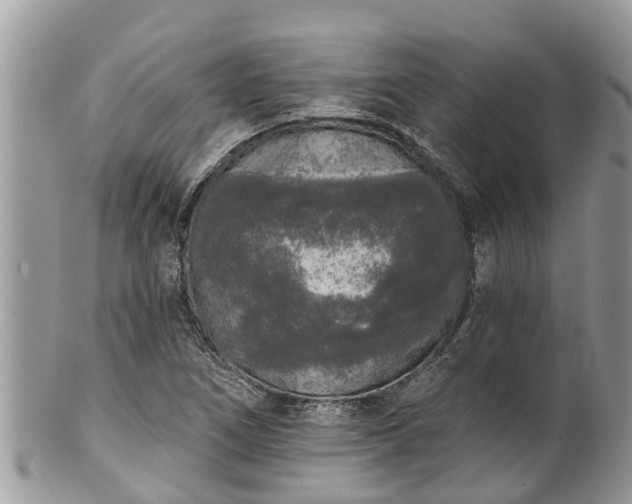 X0000101231266200807071403