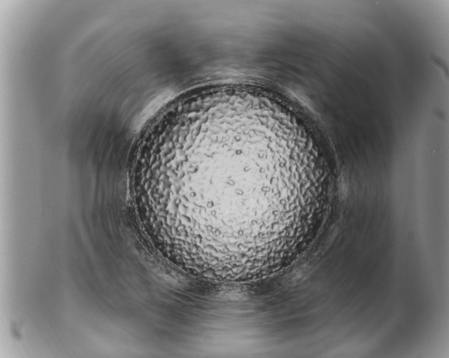 X0000101231267200807071403