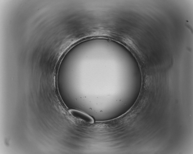 X0000101231268200807071403