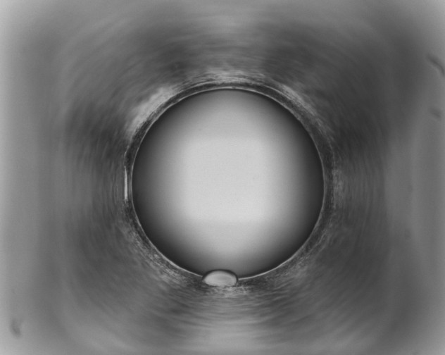 X0000101231269200807071403