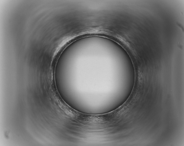 X0000101231270200807071403