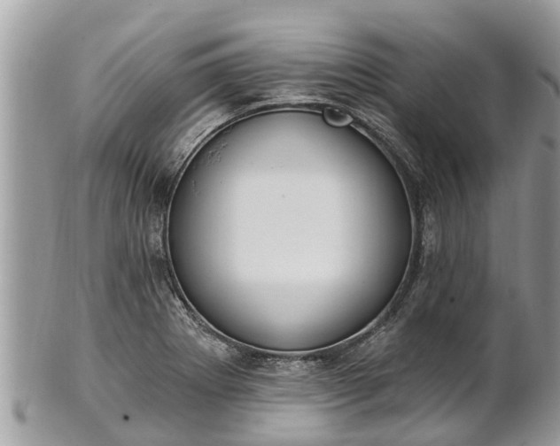 X0000101231273200807071403
