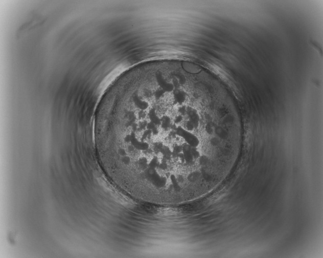 X0000101231275200807071403