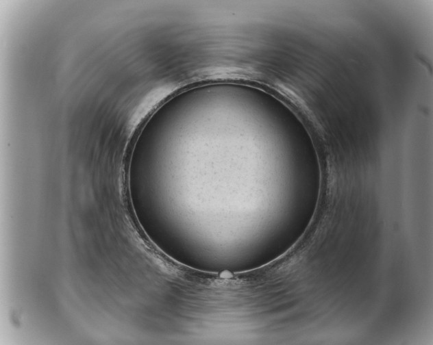 X0000101231277200807071403
