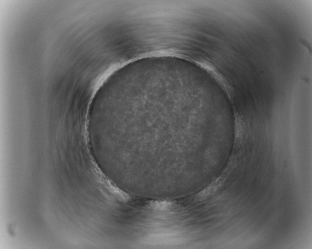 X0000101231278200807071403