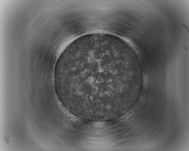 X0000101231279200807071403