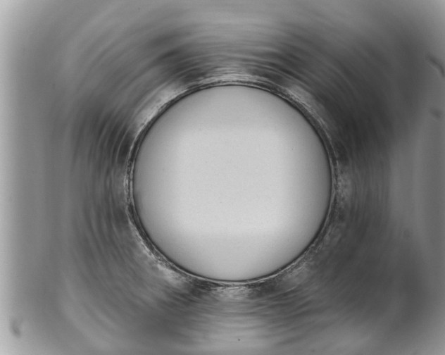 X0000101231282200807071403