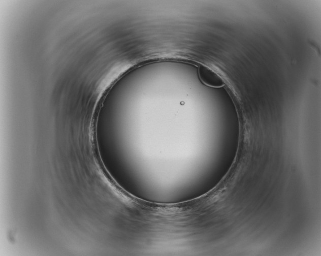 X0000101231285200807071403