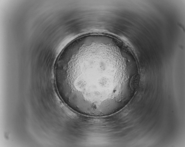 X0000101231287200807071402