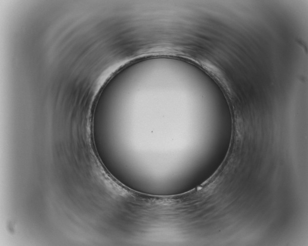 X0000101231288200807071402