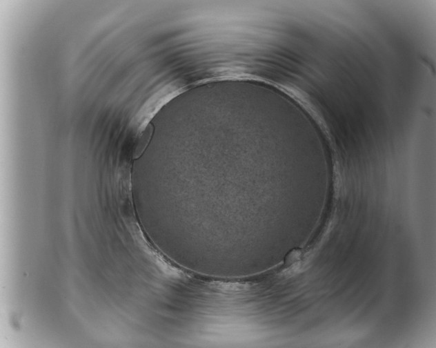X0000101231289200807071402