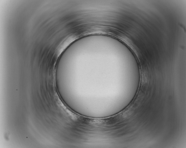 X0000101231290200807071402