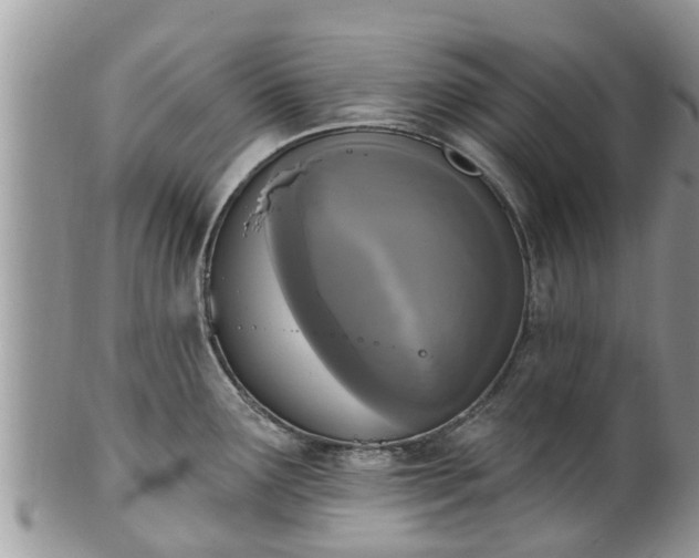 X0000101231291200807071402