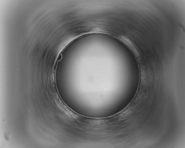 X0000101231292200807071402