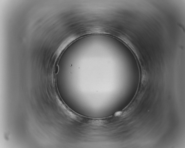 X0000101231293200807071402
