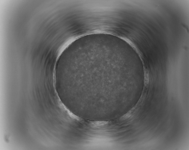 X0000101231294200807071402