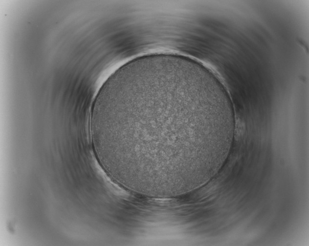 X0000101231295200807071402