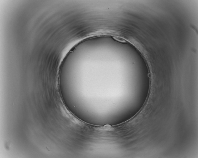 X0000101231296200807071402