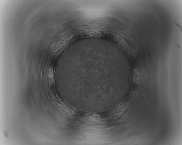 X0000101231298200807071402