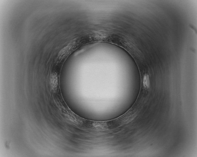 X0000101231299200807071402