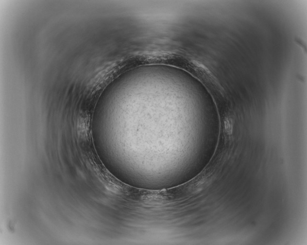 X0000101231300200807071402