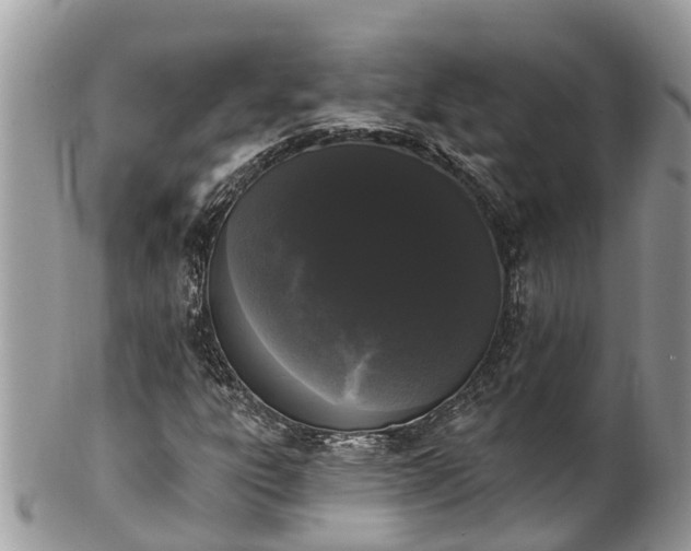 X0000101231303200807071402