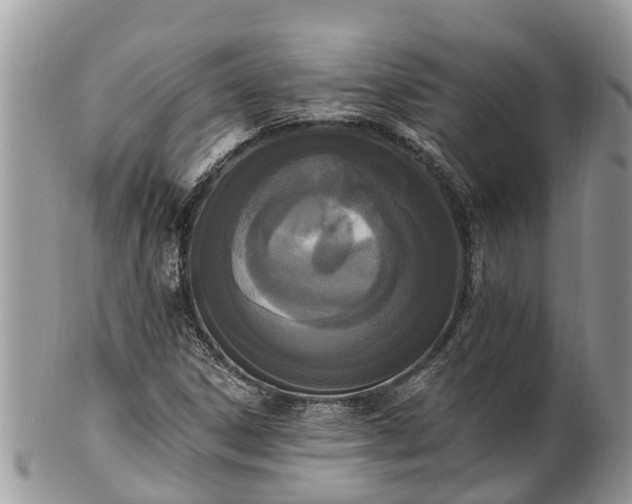 X0000101231306200807071402