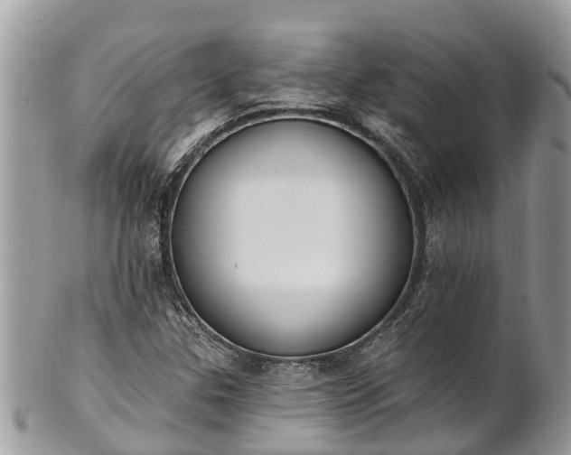 X0000101231307200807071402