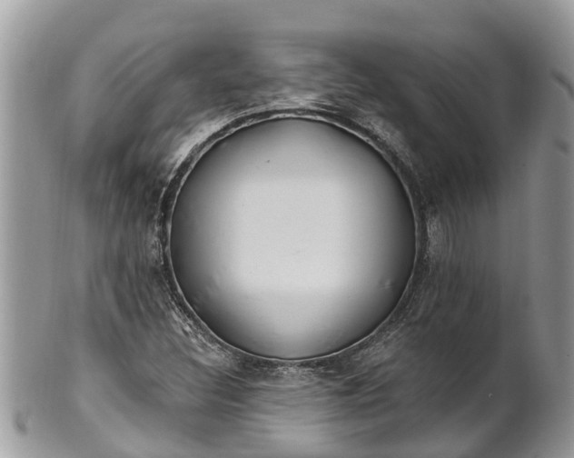 X0000101231308200807071402