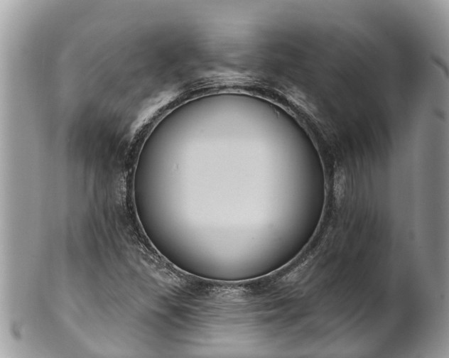 X0000101231309200807071402