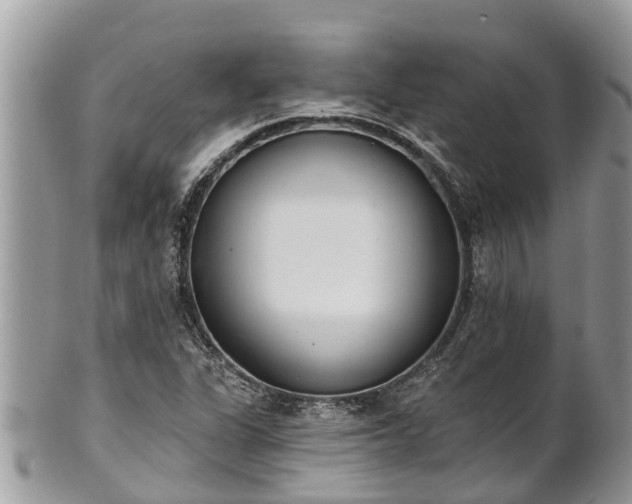 X0000101231311200807071402