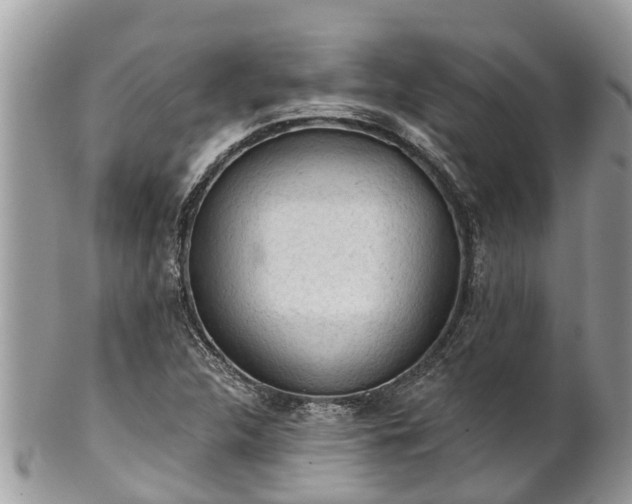 X0000101231312200807071402