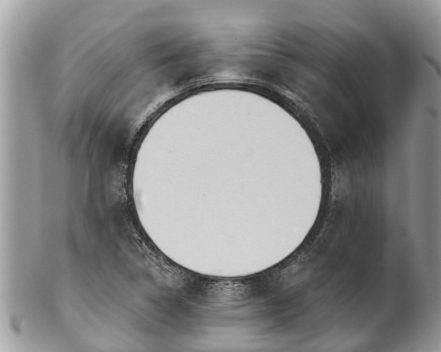 X0000101231314200807071402