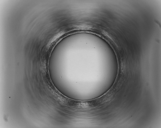 X0000101231315200807071402