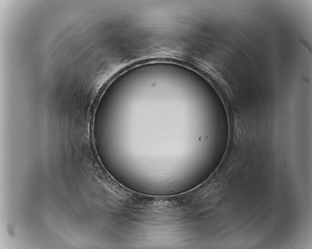 X0000101231316200807071402