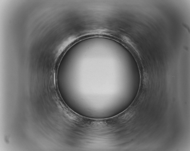 X0000101231320200807071402