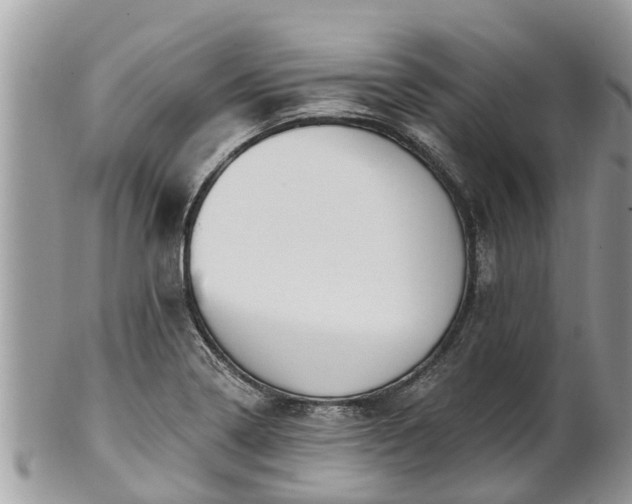 X0000101231322200807071402