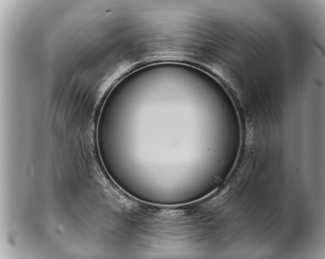 X0000101231325200807071402
